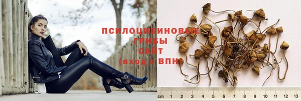 дурь Арсеньев