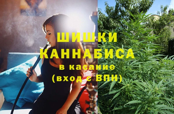 ПСИЛОЦИБИНОВЫЕ ГРИБЫ Аркадак