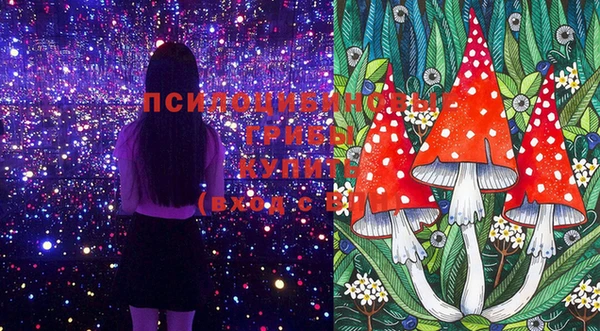 ПСИЛОЦИБИНОВЫЕ ГРИБЫ Аркадак