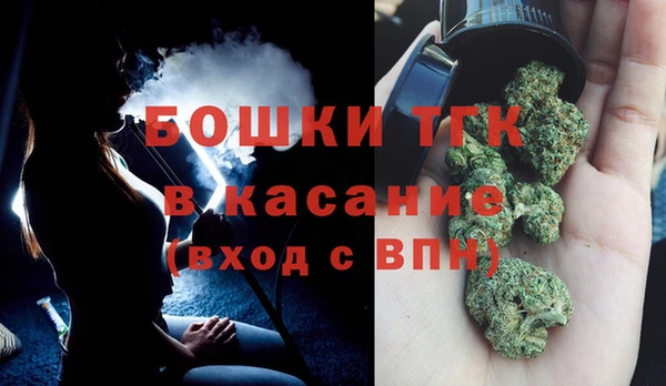 ПСИЛОЦИБИНОВЫЕ ГРИБЫ Аркадак