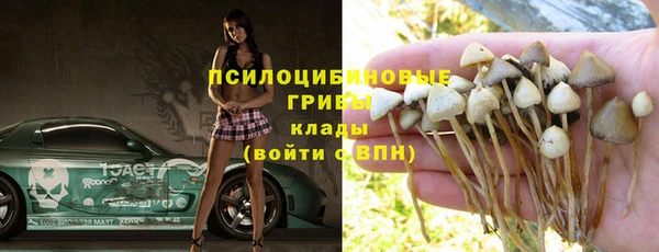дурь Арсеньев