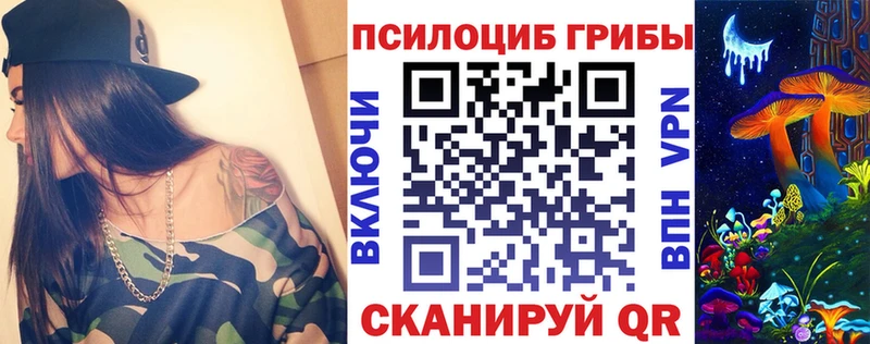 kraken ССЫЛКА  Славгород  Галлюциногенные грибы мицелий 